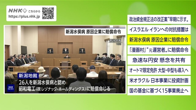 Court orders firm to compensate 26 Niigata Minamata disease plaintiffs