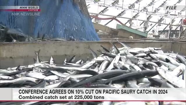 Conference agrees on 10% cut on Pacific saury catch in 2024
