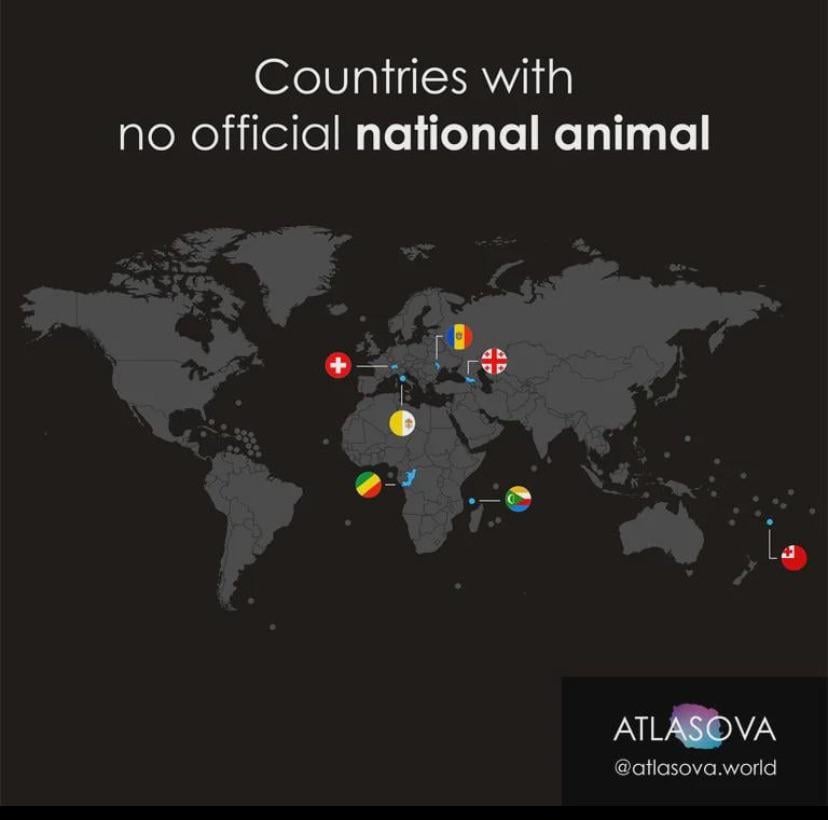 What animal would you pick and why?