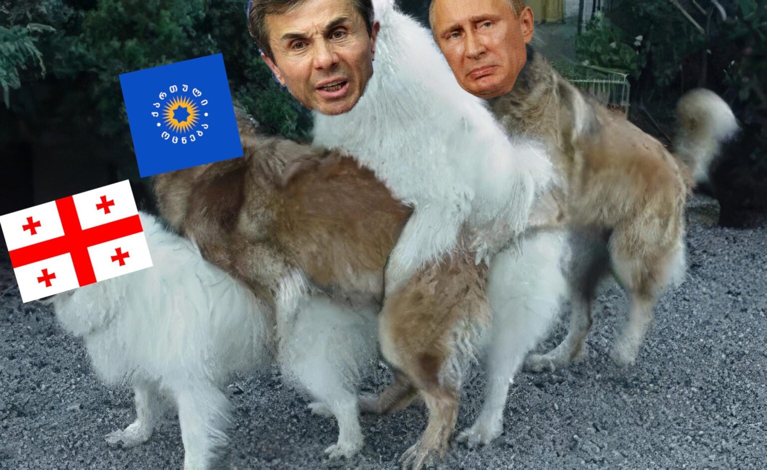Pretty much how Georgian Dream runs the country