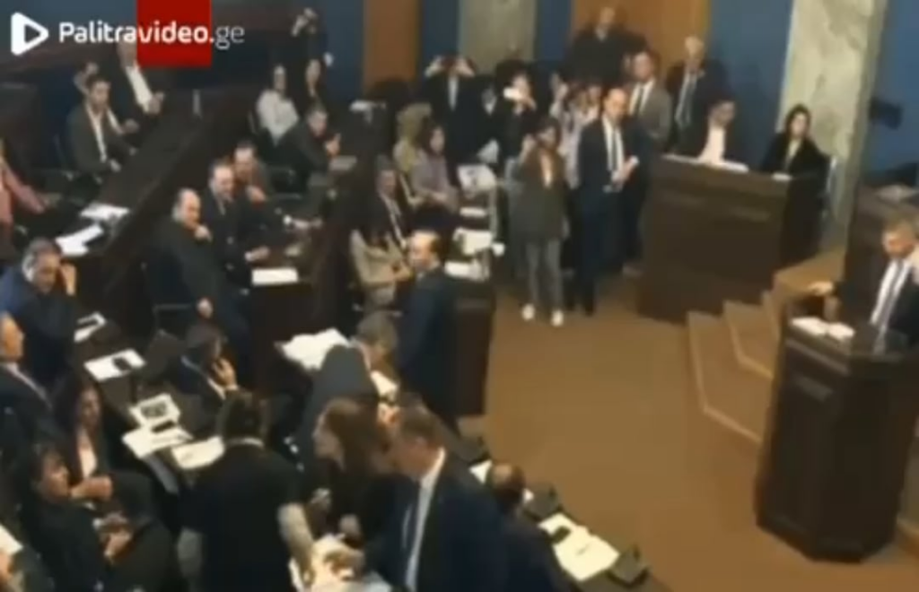 A fight took place in the Georgian parliament during the discussion of the controversial law on foreign agents
