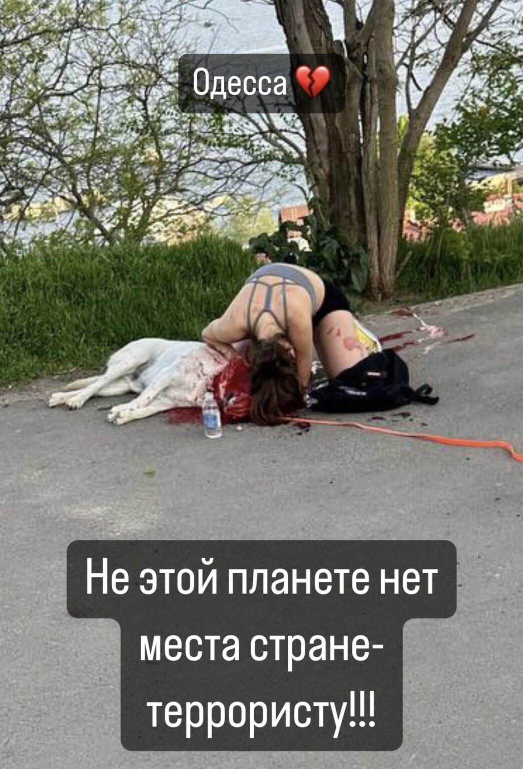 Odesa woman who was jogging on the seafront yesterday mourns her dog killed by a Russian cluster munition