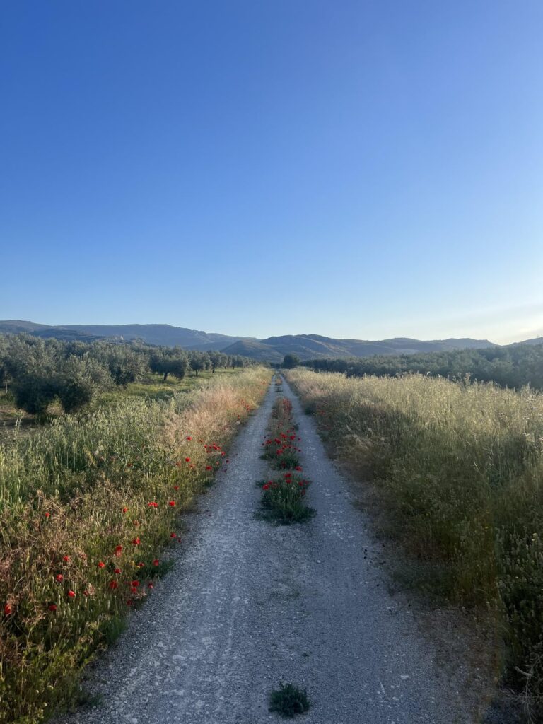 From my recent cycling trip in Jaén