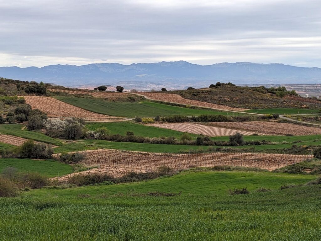 I moved to La Rioja from the UK