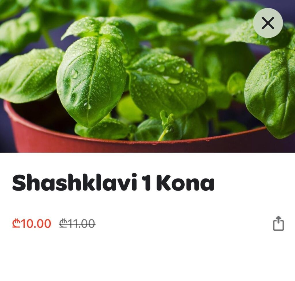 What herb is this?