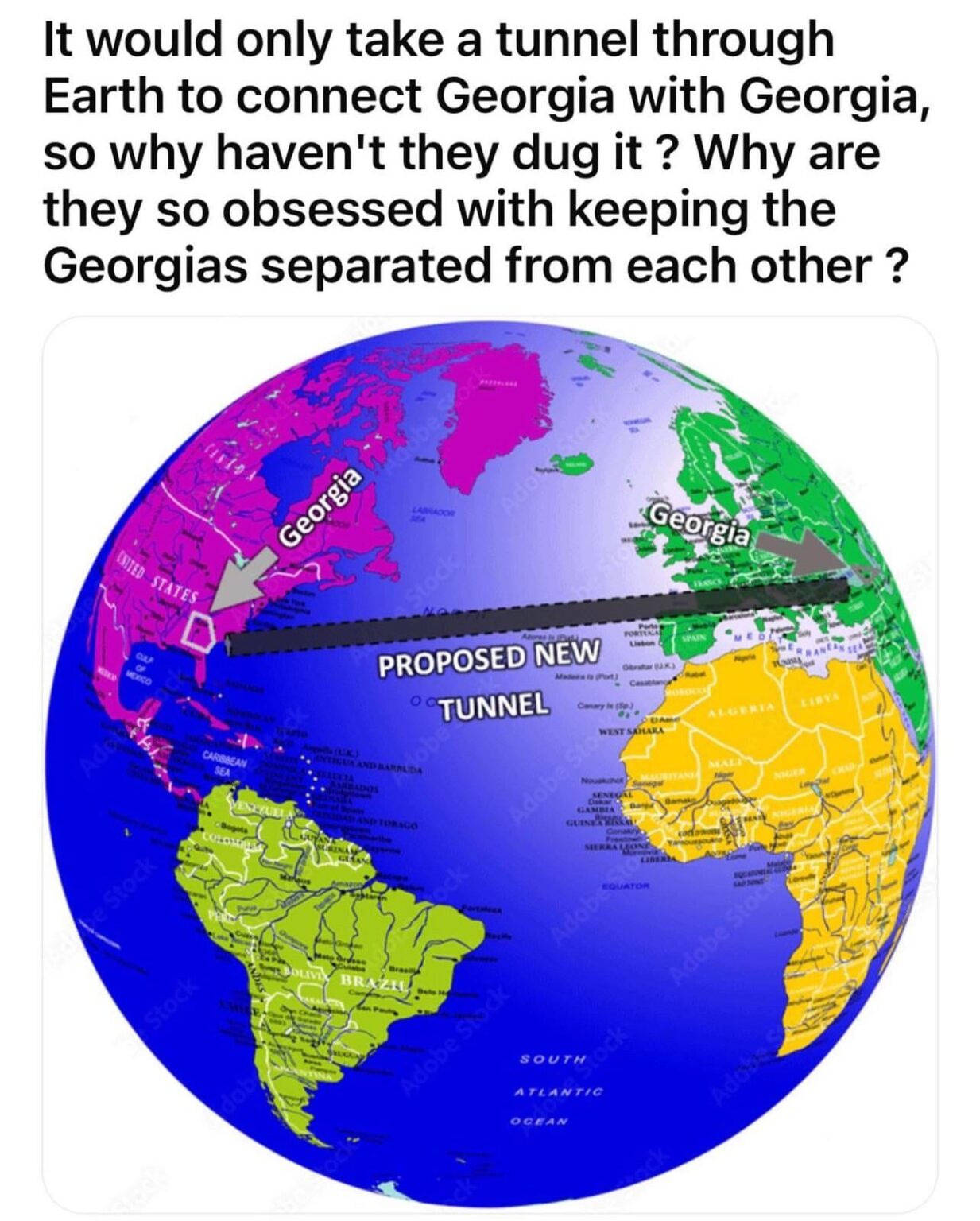 Are they stupid?