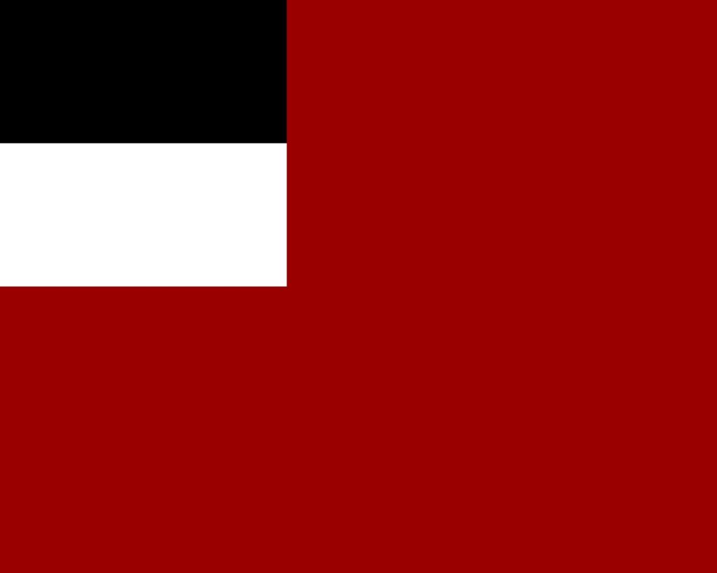 Is it ok to publicly display the old georgian flag?