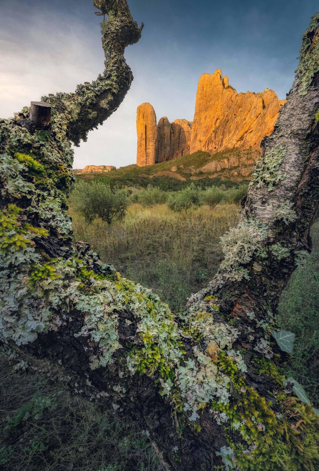 Mallos de Riglos in Aragon [OC]