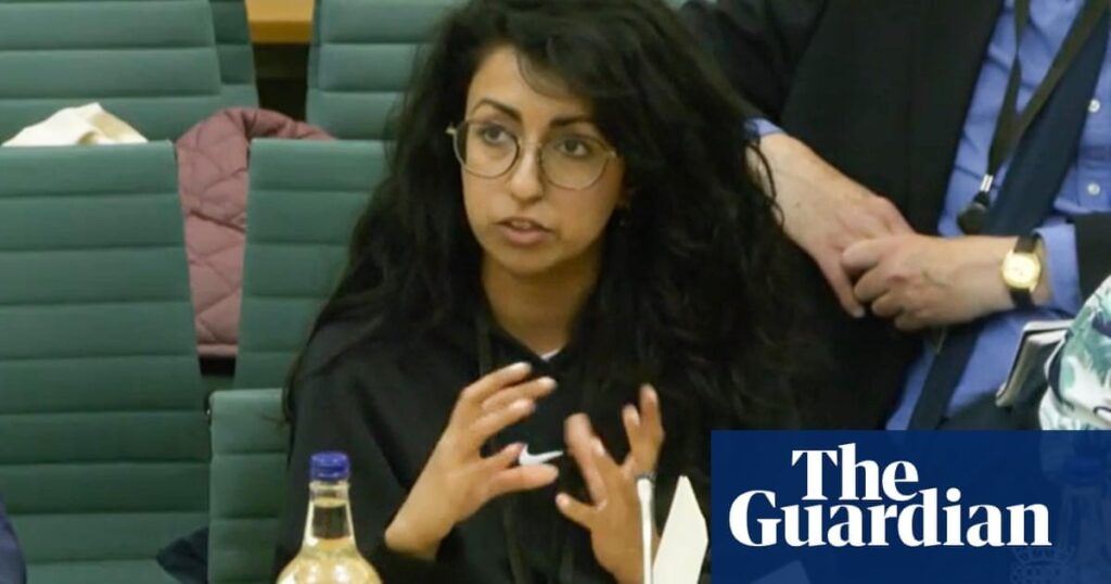 Film-making only for wealthiest as accessible routes disappear, MPs told