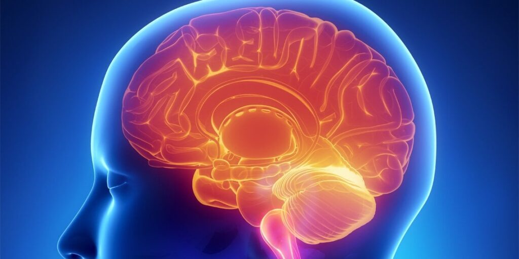 New research provides preliminary evidence that  whole-body hyperthermia shows promising antidepressant effects through anti-inflammatory pathways