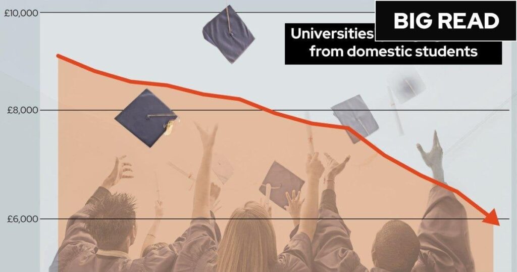 'We're waiting to see who goes under first': Why universities are on the brink
