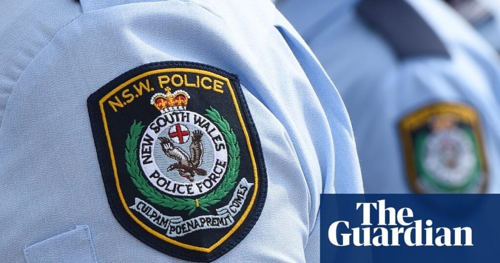 More NSW Police officers on domestic violence charges