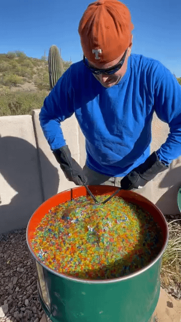 Nobody: The Americans making paella: