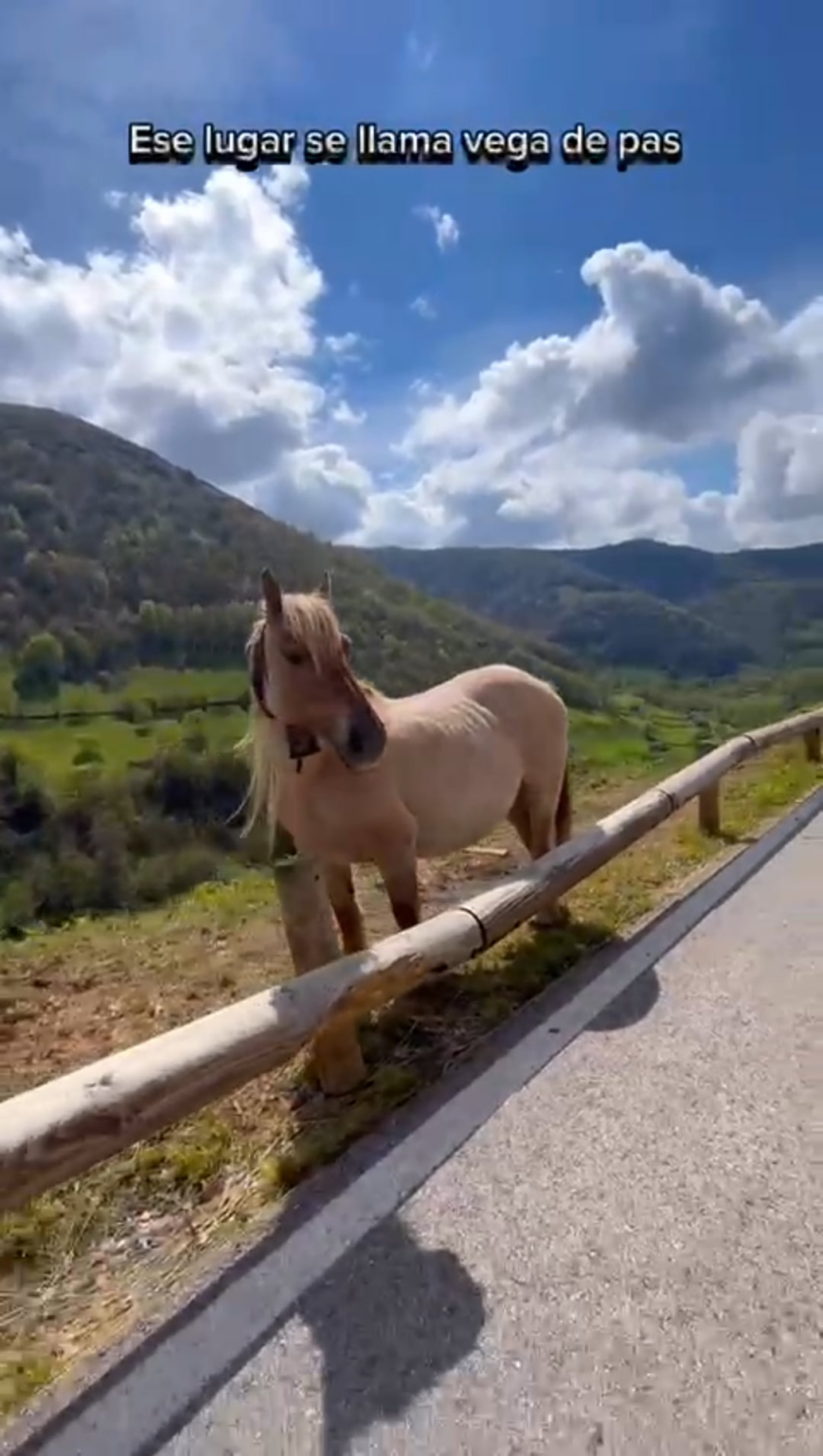 infinite cantabria