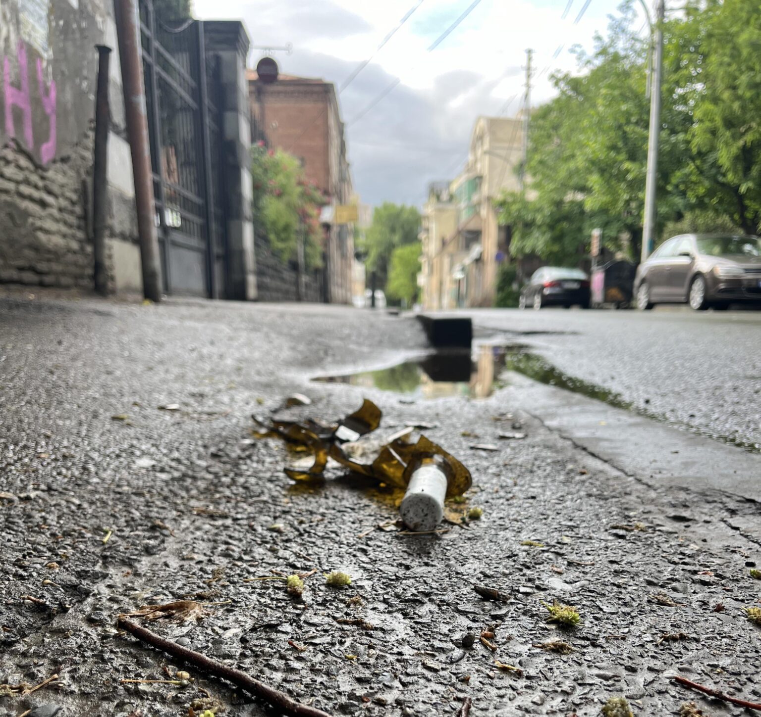 Tragic discovery this morning…