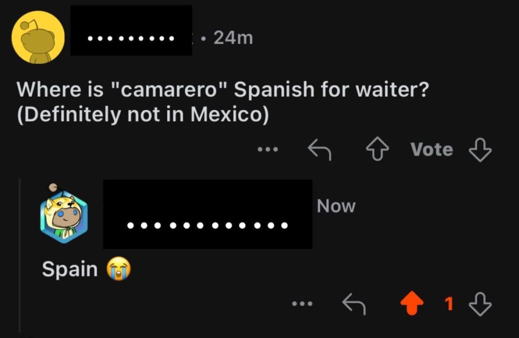 Castilian Spanish vs Latin American Spanish