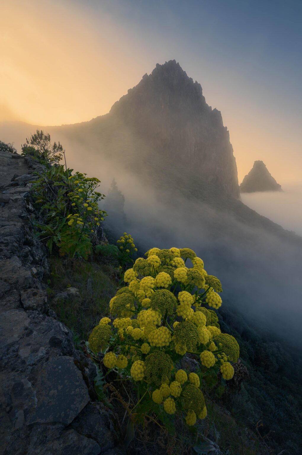 Foggy sunset high up in Gran Canaria's mountains [OC]