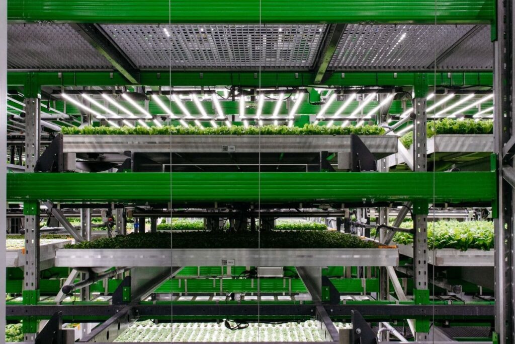 Vertical Farming Company Bowery Is Reimagining the Fresh Food Supply Chain