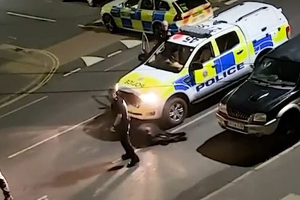Injured cow mowed down by Surrey police officer offered idyllic new home