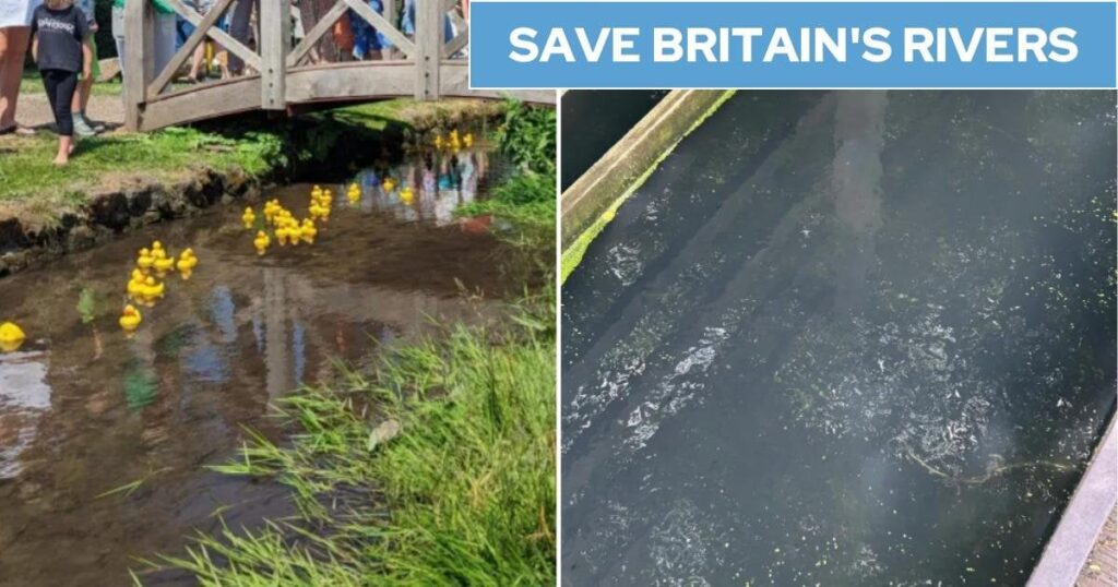 Thames Water pumps sewage into rare chalk stream for five months straight