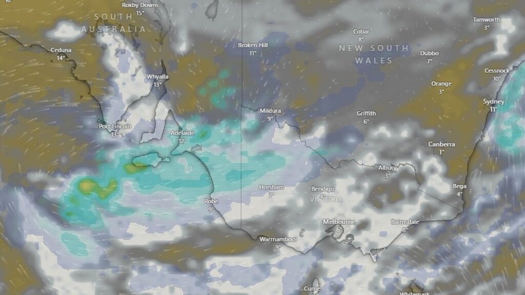 Melbourne shivered through its coldest day in five years as temperatures plunge
