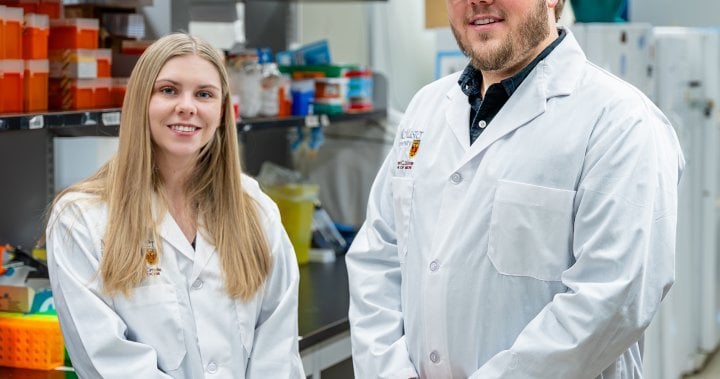 Canadian researchers discover cell that may help develop cure for allergies