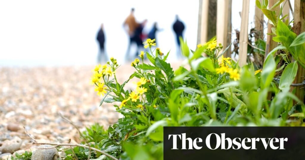 ‘Give nature space and it will come back’: rewilding returns endangered species to UK’s south coast | Rewilding
