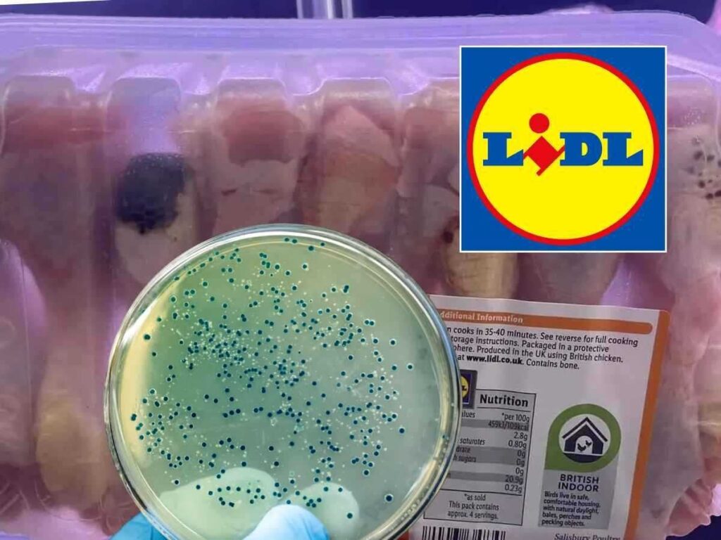 E-coli scandal continues: superbug now found on nearly HALF of Lidl chickens tested