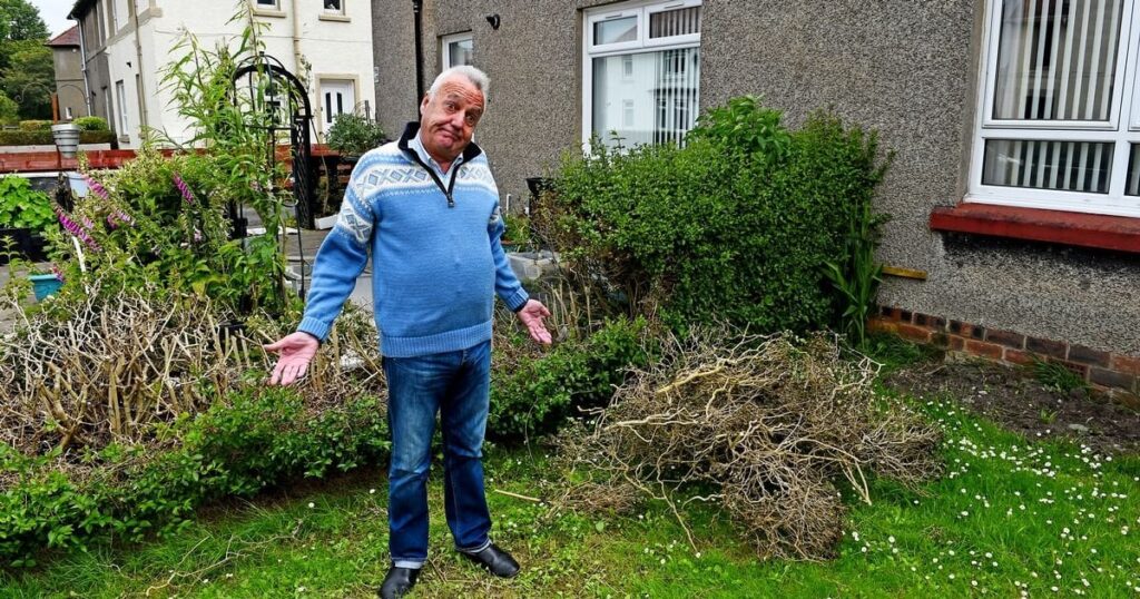 Tory councillor rips out autistic neighbour’s prized hedge despite pleas to stop