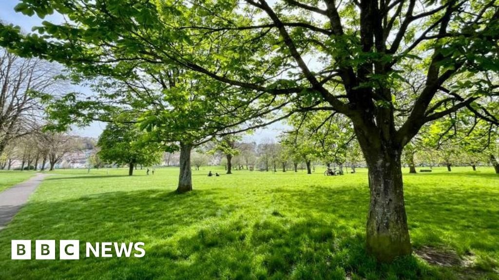 Bristol park arrest after man spotted with suspected gun