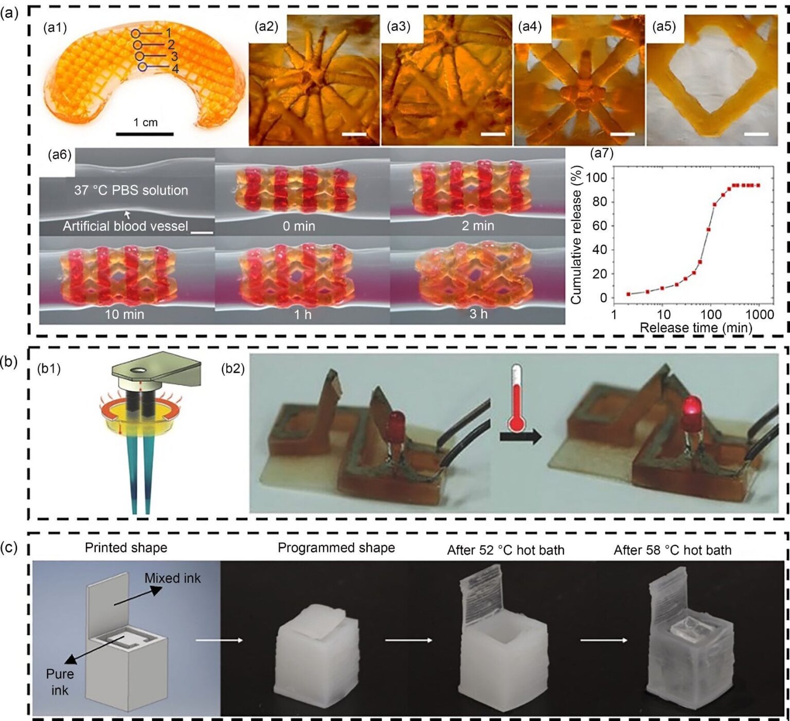 From lab to life: 3D bioprinting unveils new horizons in biomedical applications – It highlights the potential of peptide self-assembly technology as a bioinspired ink for constructing complex 3D structures. From lab to life: 3D bioprinting unveils new horizons in biomedical applications - It highlights the potential of peptide self-assembly technology as a bioinspired ink for constructing complex 3D structures.