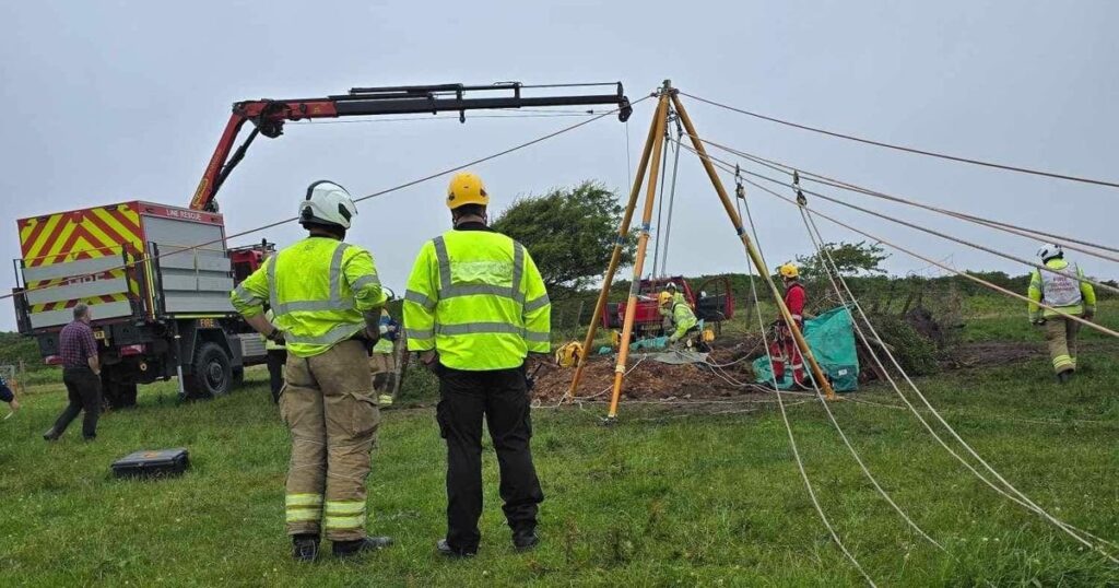 Huge rescue operation as cow falls down mineshaft