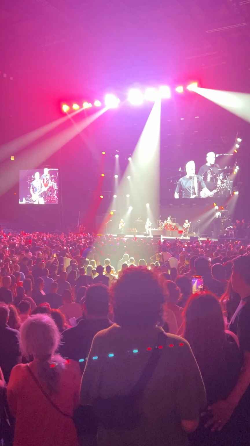 Greetings from Chicago!  Last Friday I was in an ice hockey stadium transformed into a concert arena to celebrate with other dinosaurs like me the 40 years of the G Men.