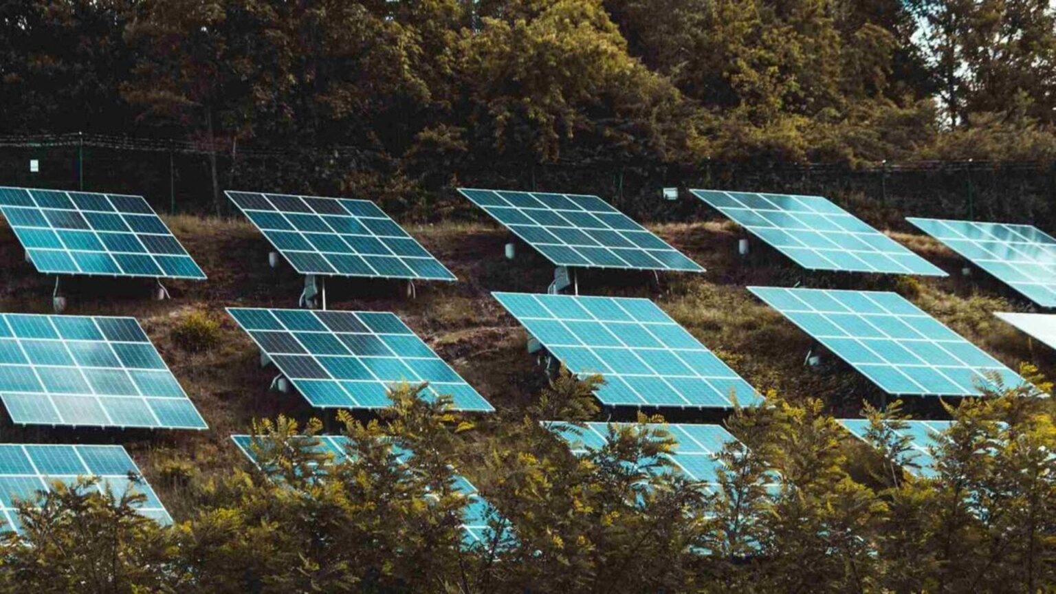 Spain turns cemeteries into solar powerhouses, aims 440,000 kW by 2030 | Put together, the cemeteries within city limits will generate 440,000 kW of electricity every year.