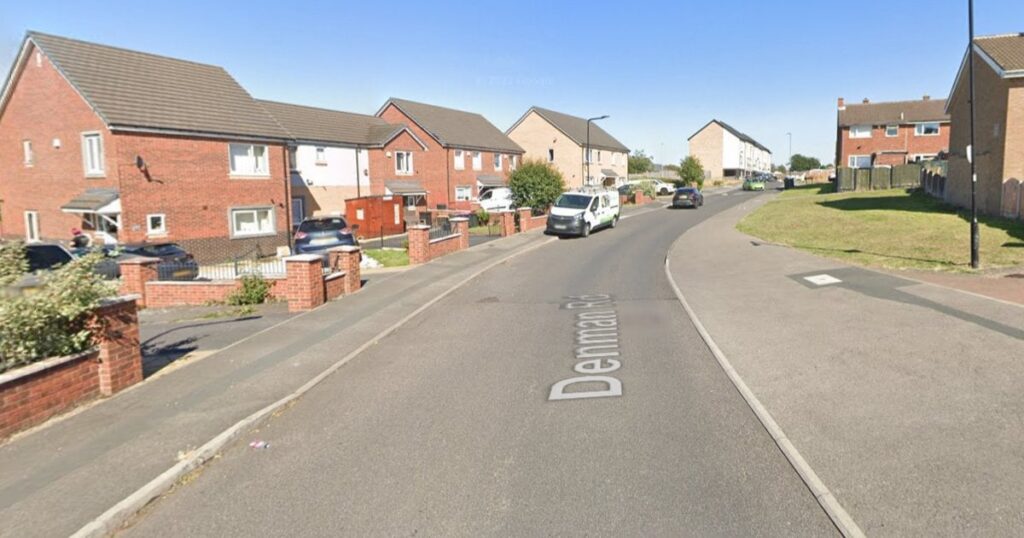 ‘Dangerously out of control' dog killed as two people savaged in street