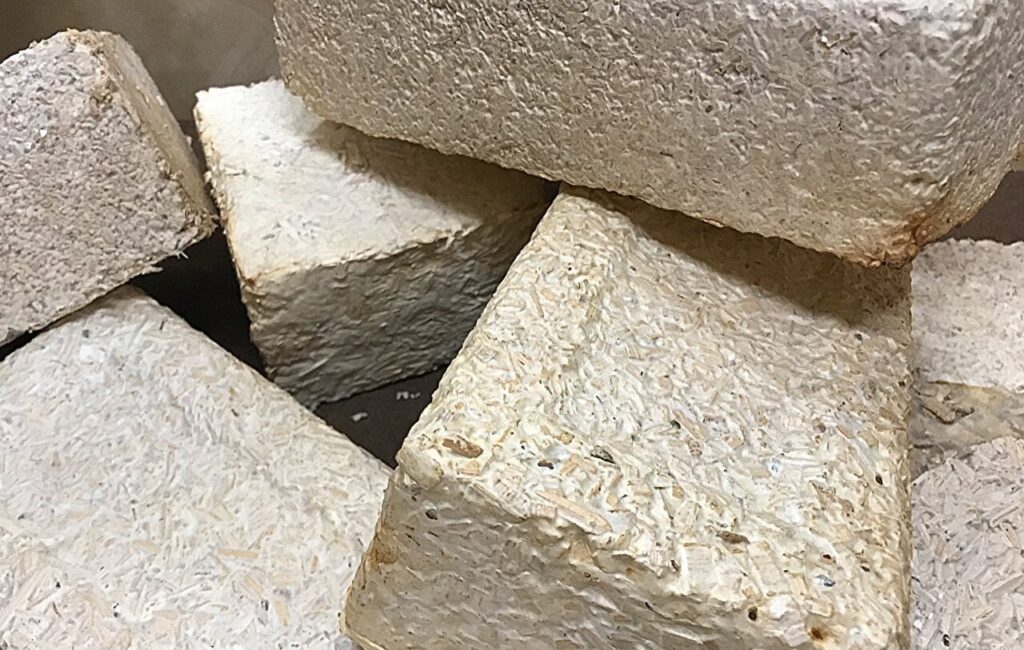 NASA advances research to grow habitats in space from fungi - As NASA prepares for long-duration missions to the moon and Mars for the benefit of all, a habitat-growing concept selected Wednesday by the agency could help "grow" homes using fungi for future explorers.