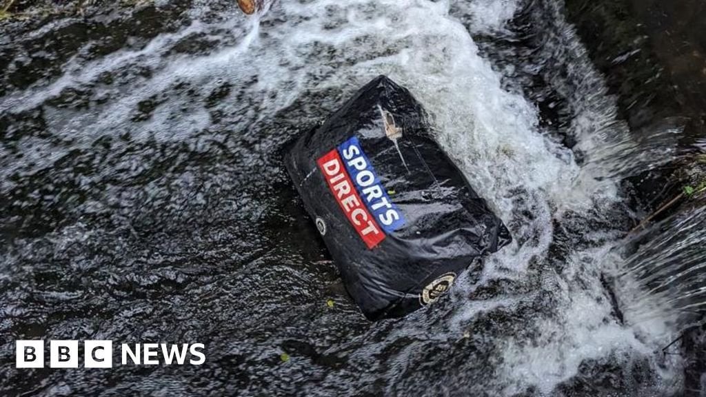 Ten dogs found dead in bag pulled from canal