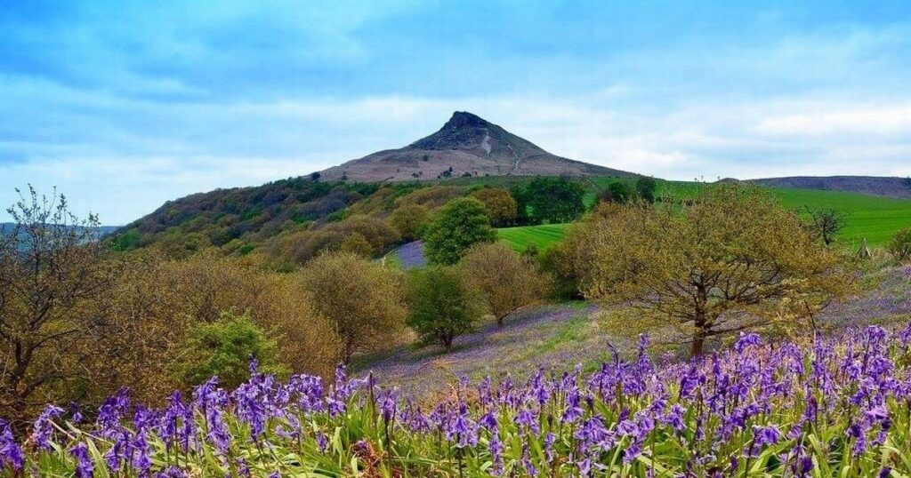 Gang with 'imitation' AK-47 rifle and Eritrean flag at Roseberry Topping summit given 'advice'