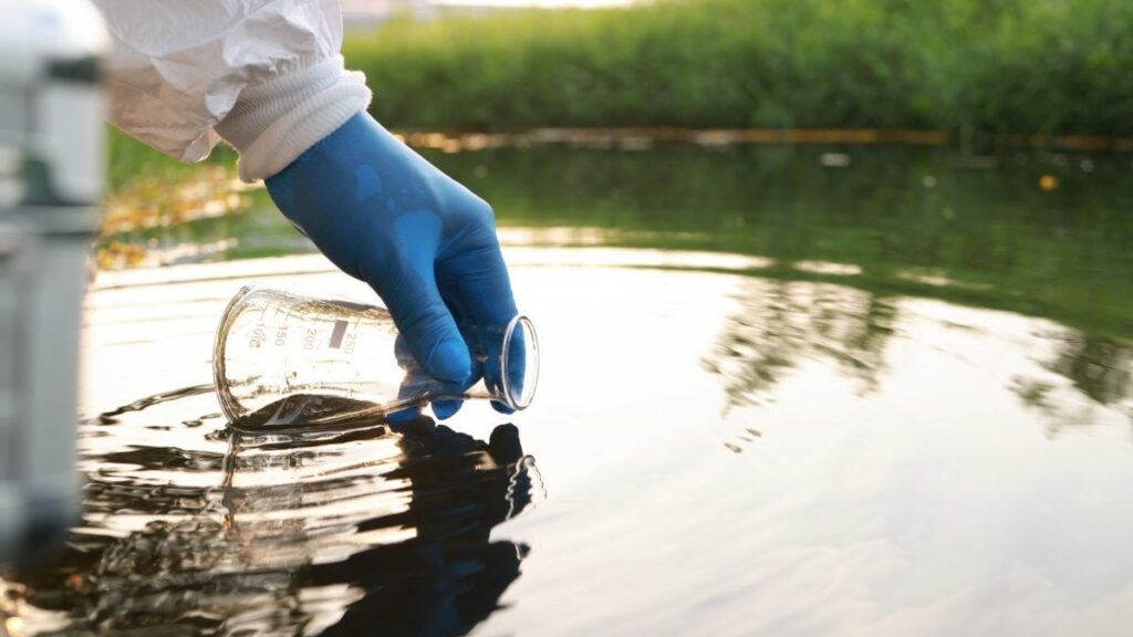 Toxic ‘forever chemicals’ found in hair and blood of politicians