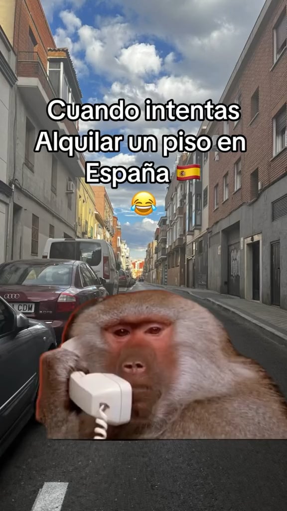Alquilar in Spain be like: