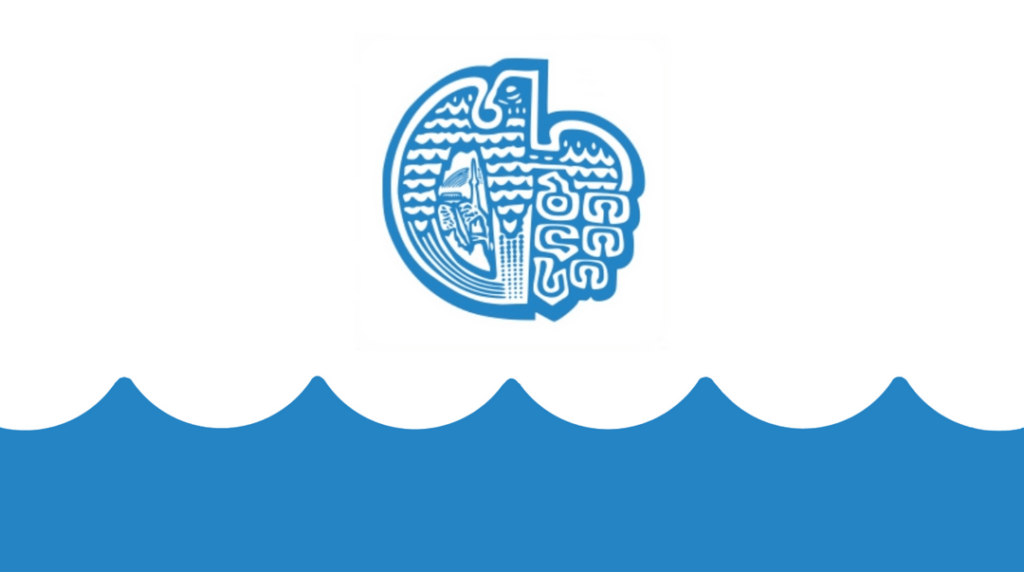 Flag designs for Tbilisi's Districts!