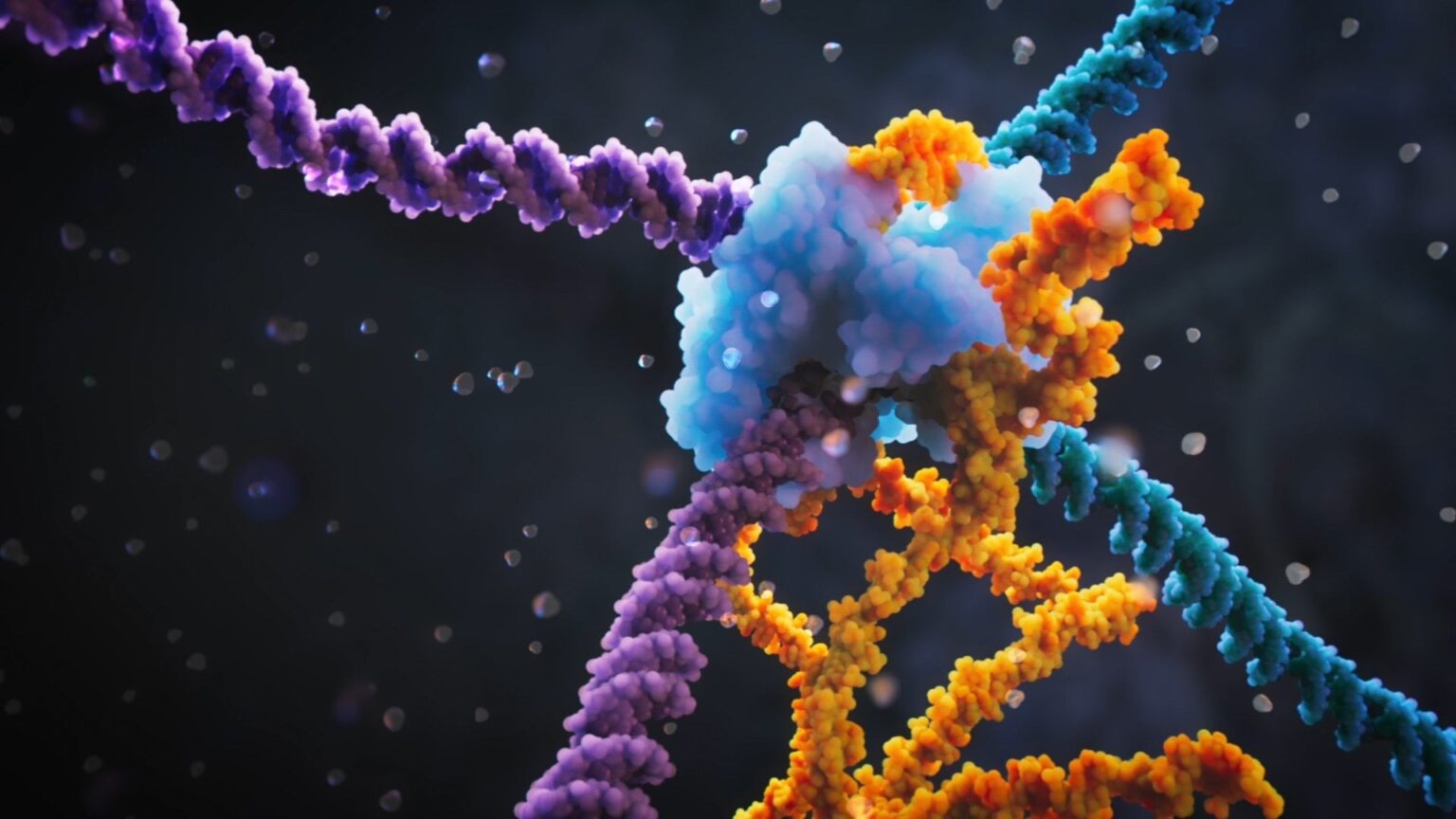 Researchers led by Patrick Hsu, PhD, have discovered an RNA-guided system that enables modular and programmable DNA insertions, excisions, and inversions—another sizeable step for programmable genome engineering