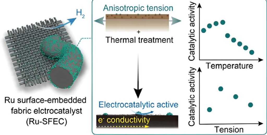 Enhancing green hydrogen production with robust carbon fabric electrocatalysts