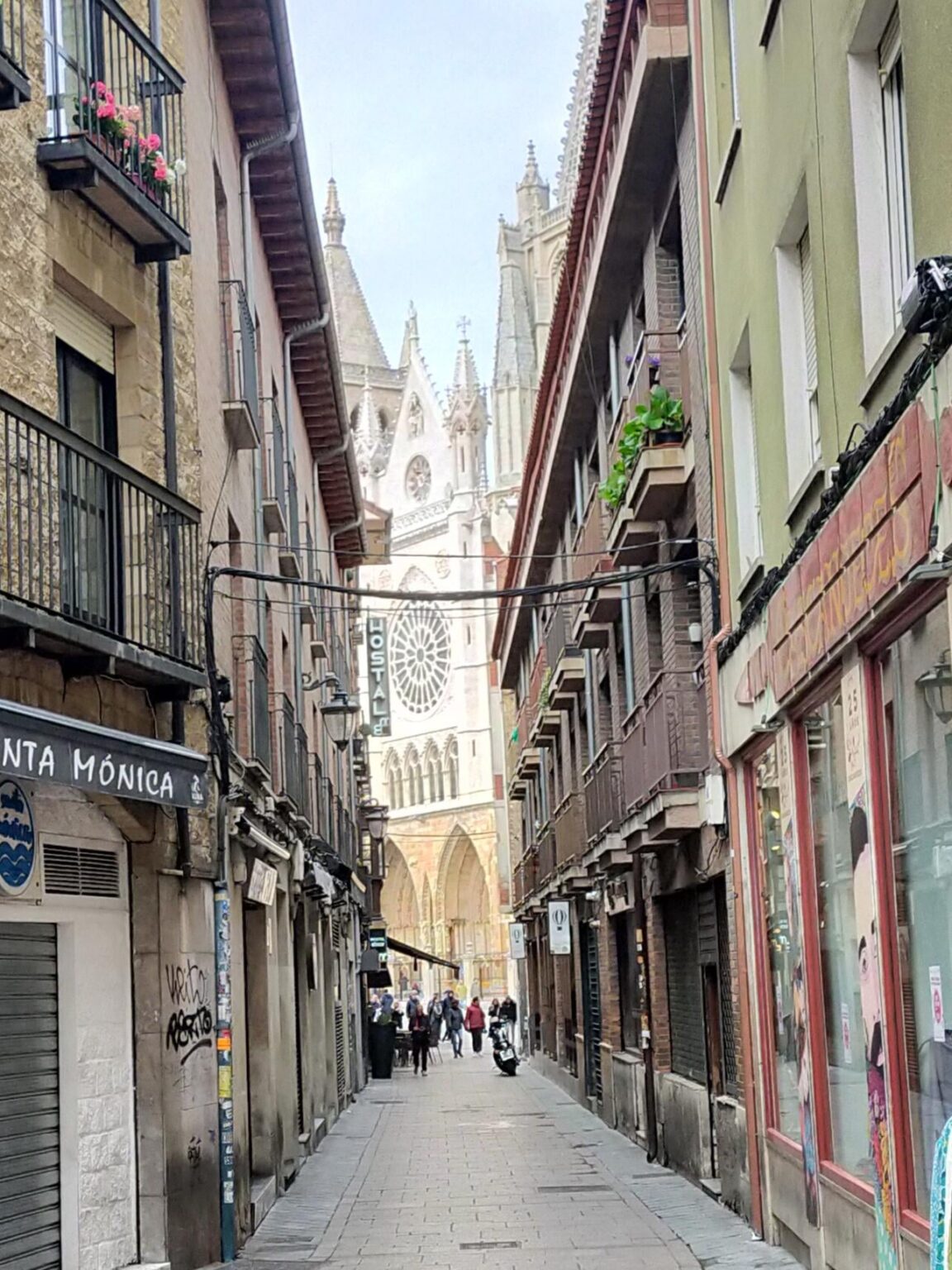 León