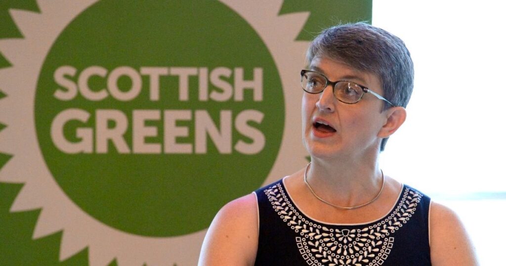 Maggie Chapman suggests only ‘wealthy white men’ benefit from upgrading roads and reducing journey times between cities Maggie Chapman suggests only 'wealthy white men' benefit from upgrading roads and reducing journey times between cities