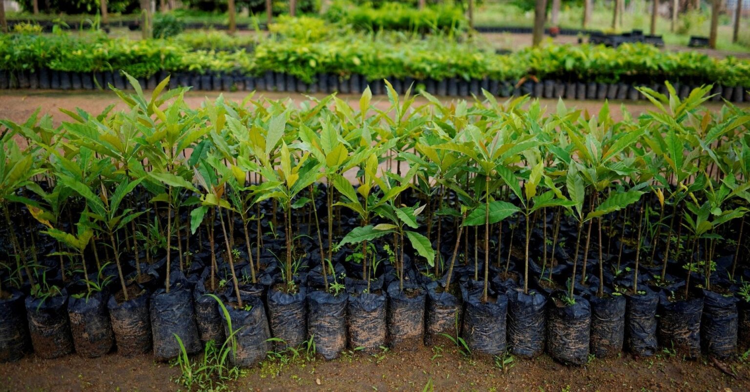 Global carbon capture market could rise from $2.7 billion in 2023 to $100 billion/yr from 2030-35
