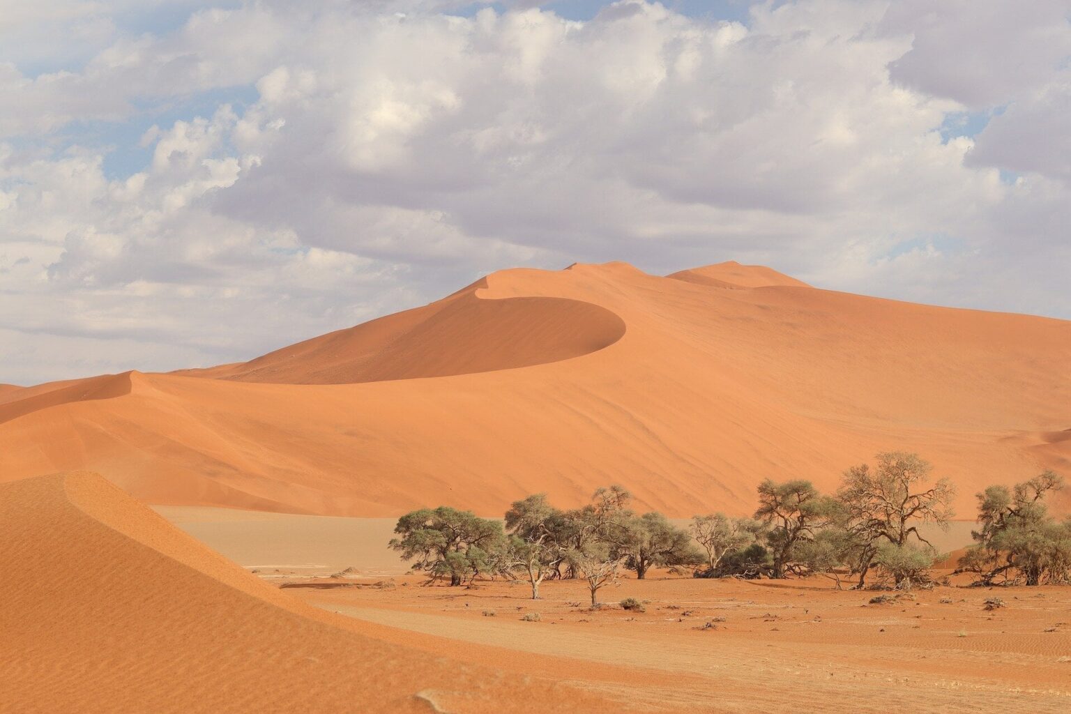 The audacious plan to seed a global green hub in Namibia's desert