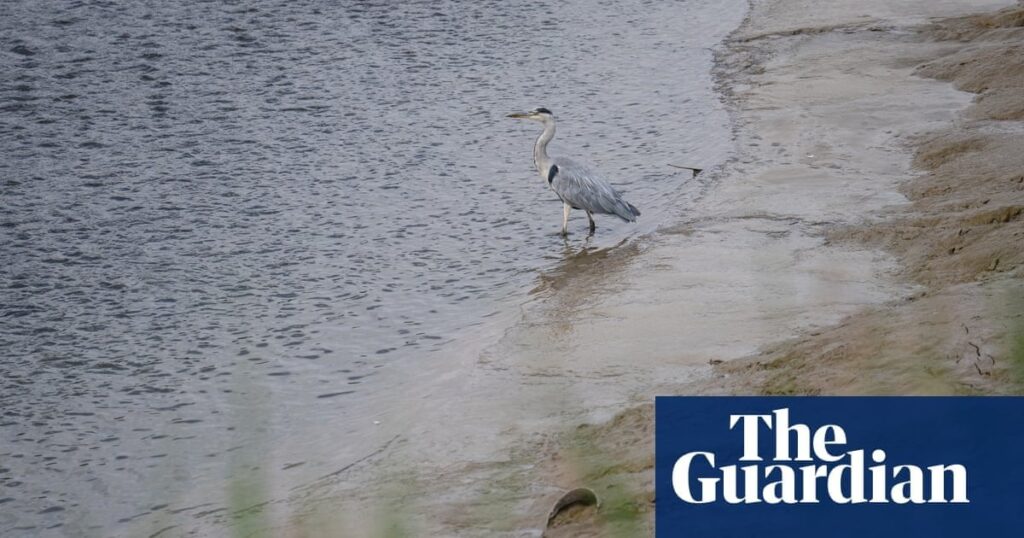Citizen testing finds 75% of rivers in Britain in poor ecological health