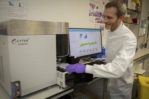 Researchers at an English university say they have uncovered fundamental new rules about immune system function that could enable a ‘unified healer army’ of T cells, that could repair injured muscle, make fat cells respond better to insulin, and regrow hair follicles.