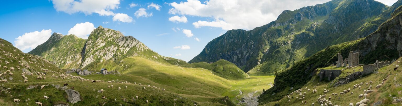 Caffè Italia * 19/06/24